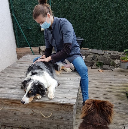 Interview de Morgane Falconnet, formatrice/intervenante en Ostéopathie Animale à l’OAA