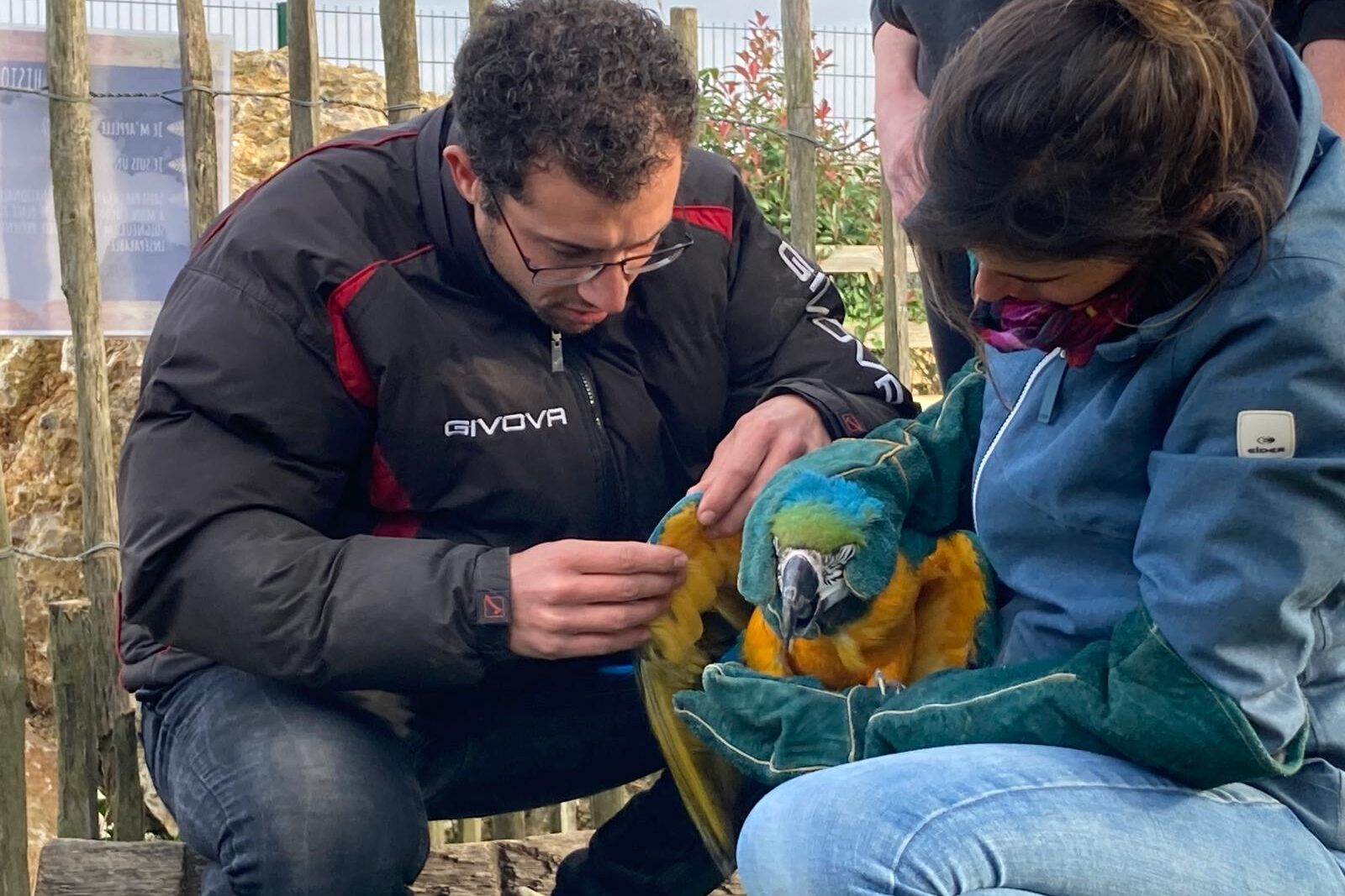 Interview de Jimmy Navarro, Ostéopathe Animalier OA414