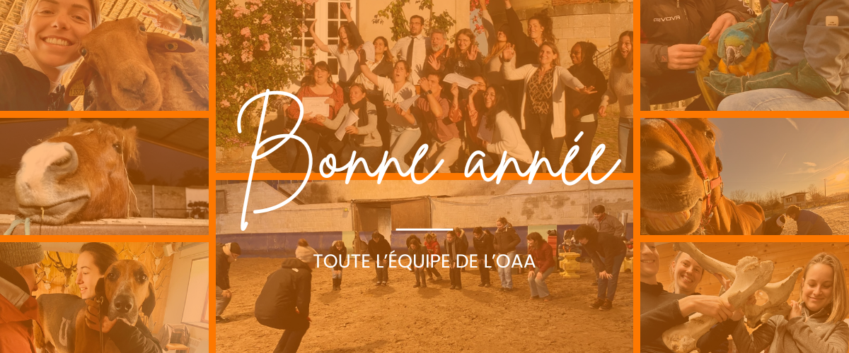 Bonne année 2025 !