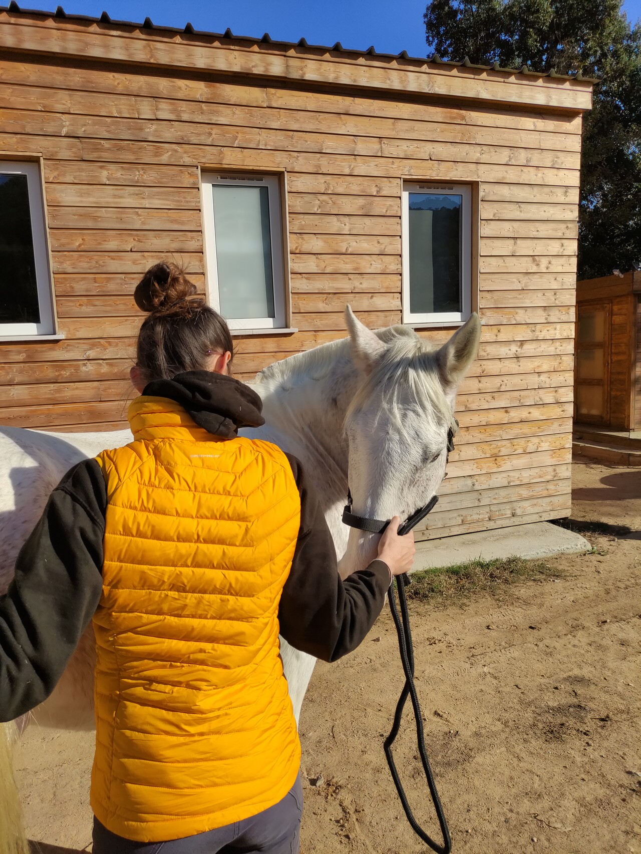 Interview de Julie Bertrand, Ostéopathe humain & animalier